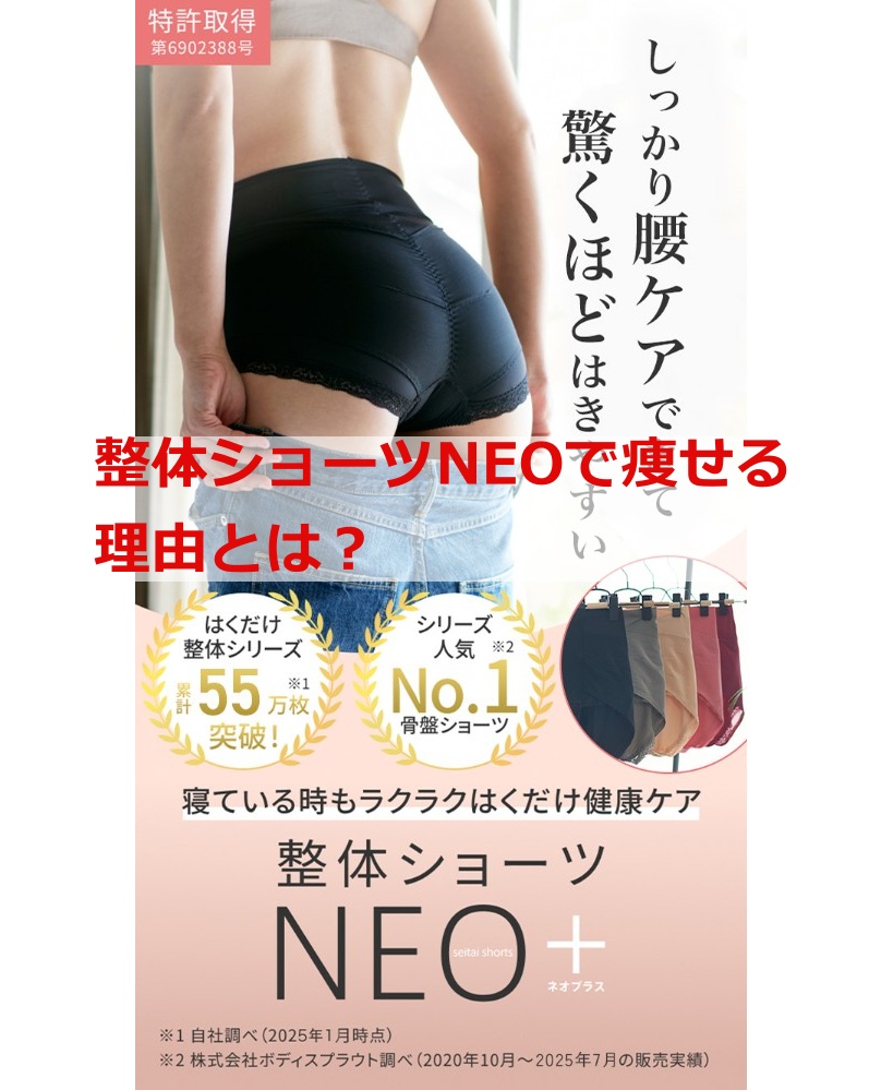 整体ショーツNEOで痩せる理由とは？